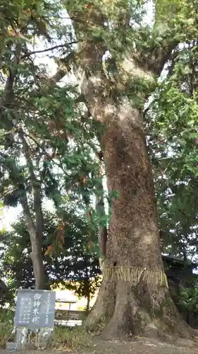 白髭神社の庭園