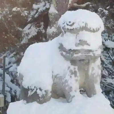 網走神社の狛犬
