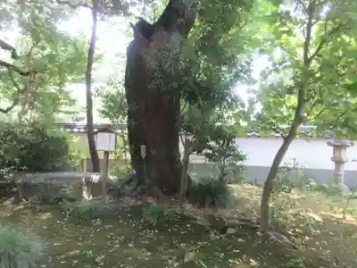 昌光律寺(愛知県)