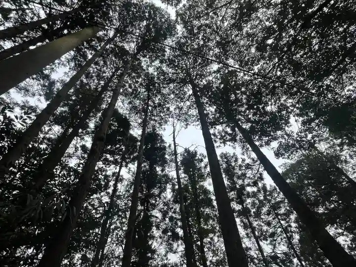 猿田神社(千葉県)