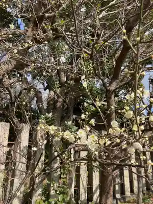 休天神社の自然