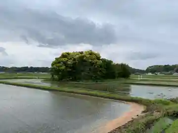嚴島神社(千葉県)