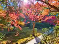 寿量山 速成寺(奈良県)