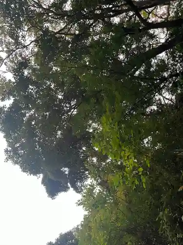 安房神社(千葉県)