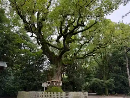 熱田神宮(愛知県)