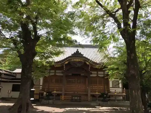 蓮乗寺の本殿・本堂