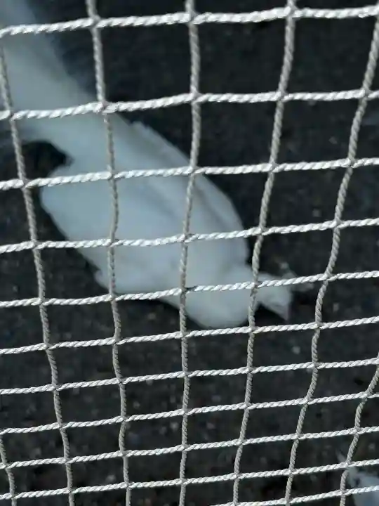 進雄神社(群馬県)