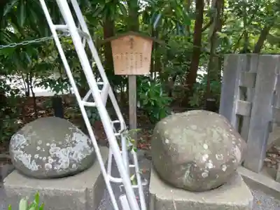 鶴岡八幡宮(神奈川県)