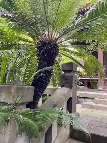 竜谷寺(東京都)