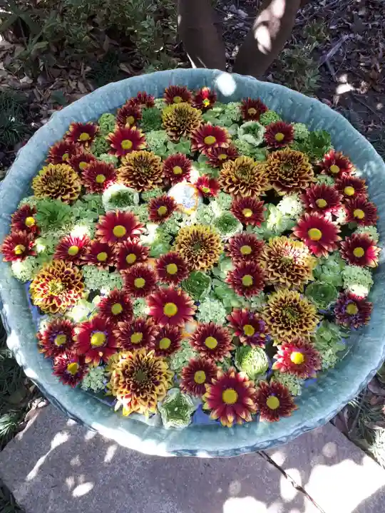 行田八幡神社の手水舎