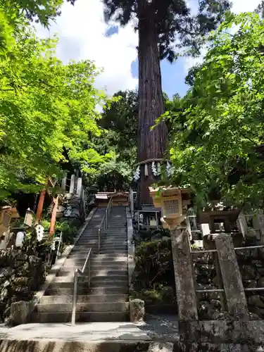 由岐神社(京都府)