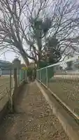 頼政神社のその他建物