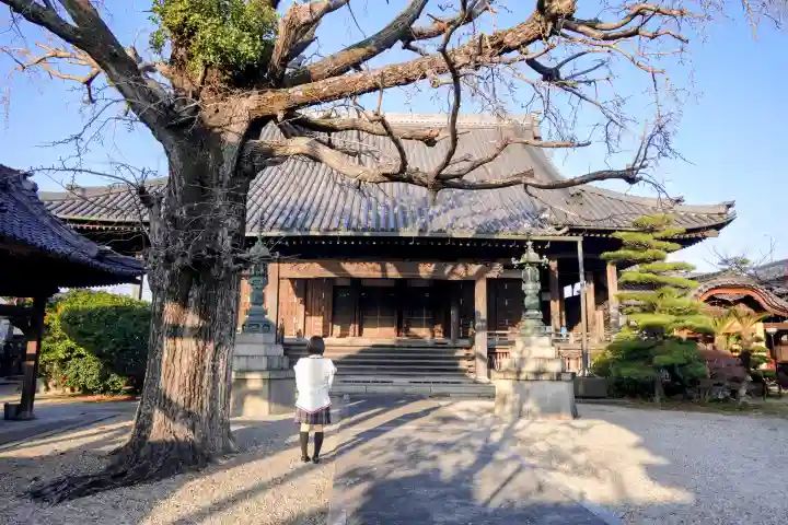 本伝寺の本殿・本堂