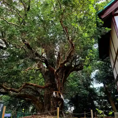 天御子神社(静岡県)