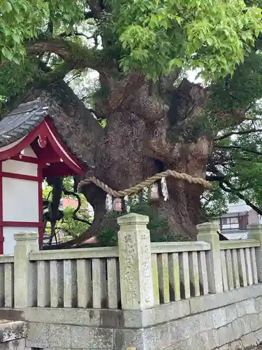 善通寺(香川県)