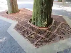 椿大神社(三重県)