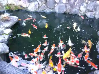 大野神社(滋賀県)