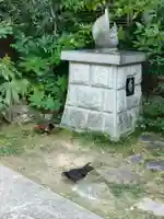 高知大神宮の狛犬