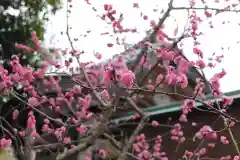 伊和志津神社の自然