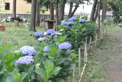 石刀神社(愛知県)