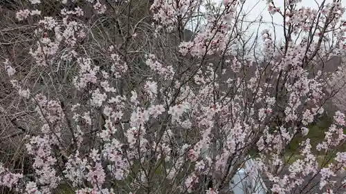 道祖神の自然