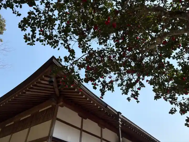 普明寺(兵庫県)