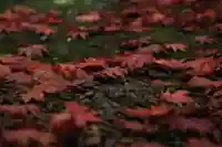 北広島市総鎮守 廣島神社(北海道)