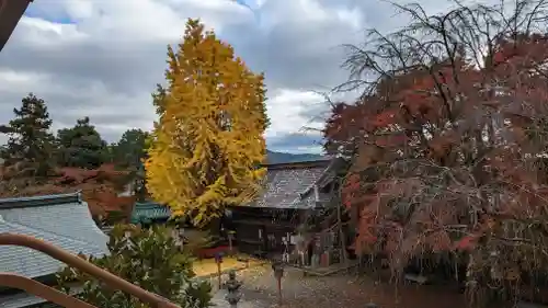 松ヶ崎大黒天 妙圓寺（妙円寺）(京都府)
