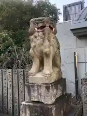 徳島眉山天神社の狛犬