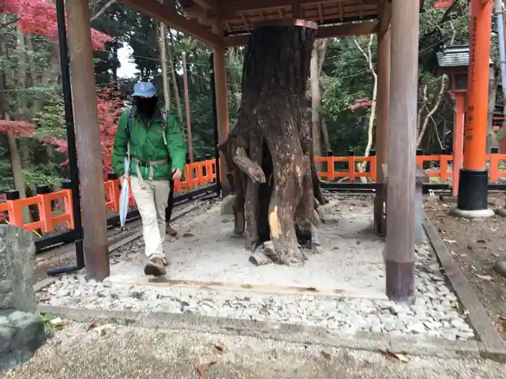 伏見稲荷大社の自然