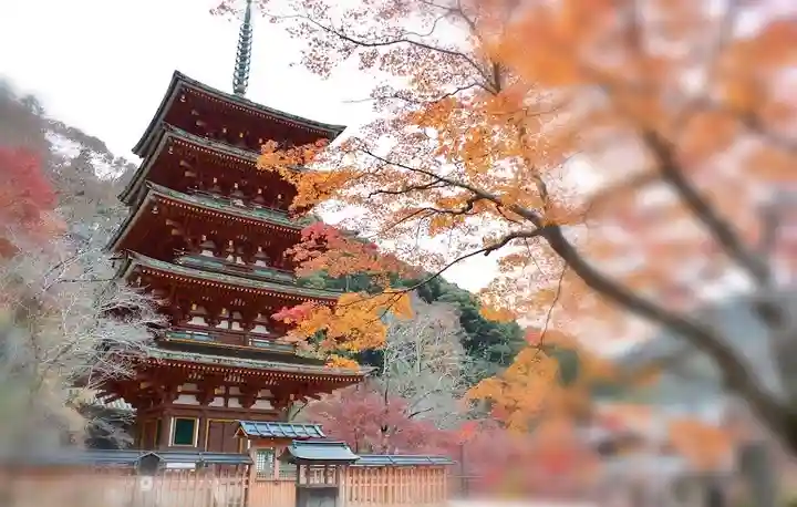 長谷寺のその他建物