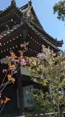 満願寺(京都府)