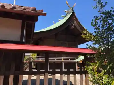 大神神社(花池)の本殿・本堂