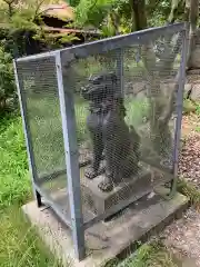 窯神神社の狛犬