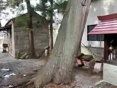 白幡神社(福島県)