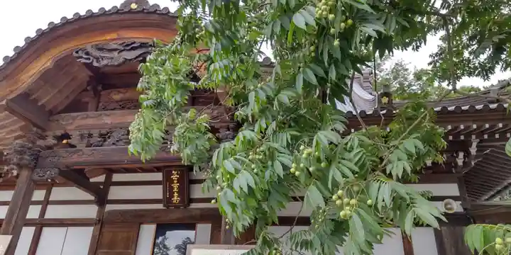 深大寺(東京都)