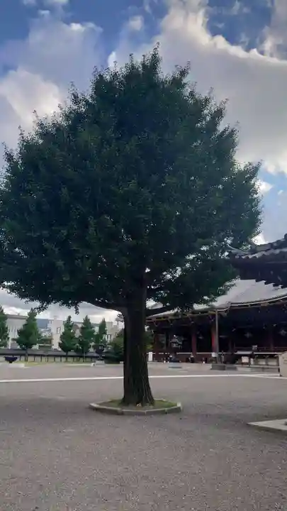 東本願寺(真宗本廟)(京都府)