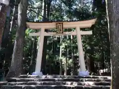 飛瀧神社（熊野那智大社別宮）の鳥居