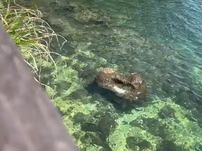 粟嶋社(大分県)