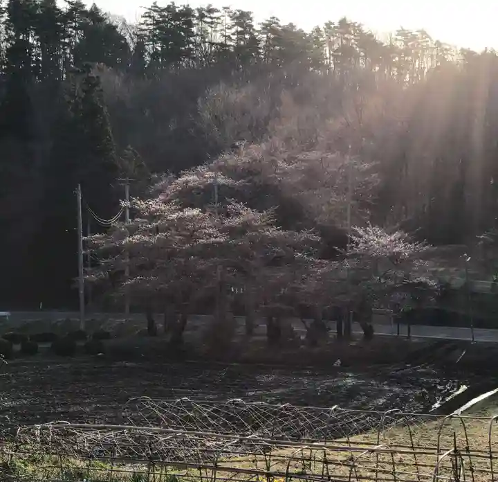 鹿島大神宮の景色