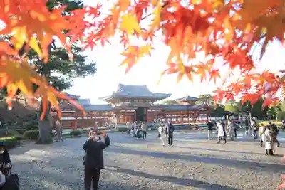 平等院のその他建物