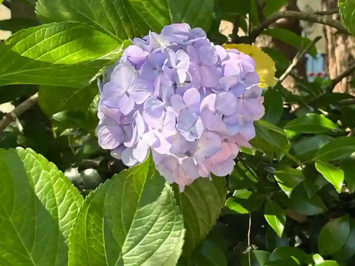 日枝神社(東京都)
