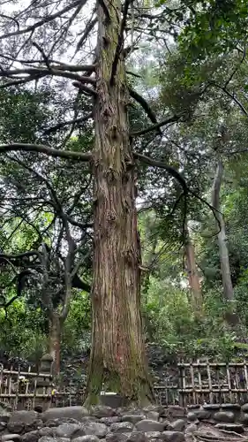 傑山寺(宮城県)