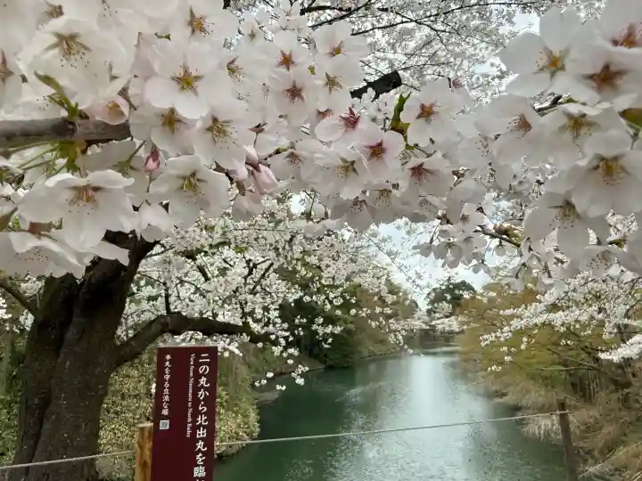 鶴ケ城稲荷神社の{uncategorized: "未分類", other: "その他", undefined: "問題あり", building: "その他建物", grave: "お墓", sacred_gate: "鳥居", guardian: "狛犬", statue: "像", buddha: "仏像", history: "歴史", nature: "自然", garden: "庭園", animal: "動物", pagoda: "塔", temizu: "手水舎", mountain_gate: "山門・神門", sanctuary: "本殿・本堂", subordinate: "末社・摂社", art: "芸術", scenery: "景色", jizo: "地蔵", ema: "絵馬", goshuin: "御朱印", omikuji: "おみくじ", items: "授与品その他", amulet: "お守り", goshuincho: "御朱印帳", eats: "食事", festival: "お祭り", votive_dance: "神楽", shichigosan: "七五三参", wedding: "結婚式", experience: "体験その他", initially: "初詣", around: "周辺", anti_infection: "感染症対策"}