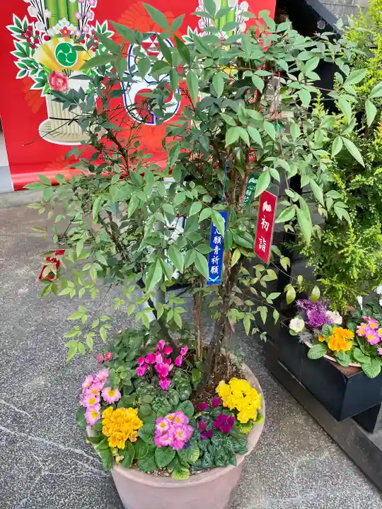 烏森神社(東京都)