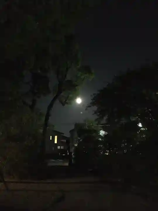 溝旗神社(肇國神社)の景色