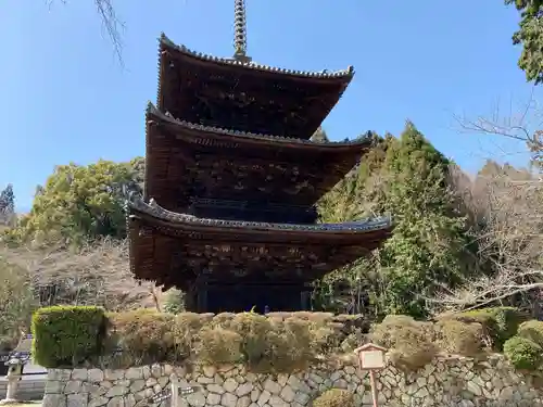 園城寺（三井寺）の塔