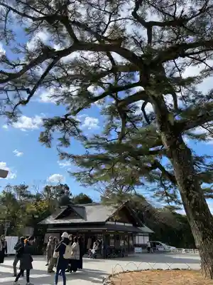 伊勢神宮内宮（皇大神宮）(三重県)