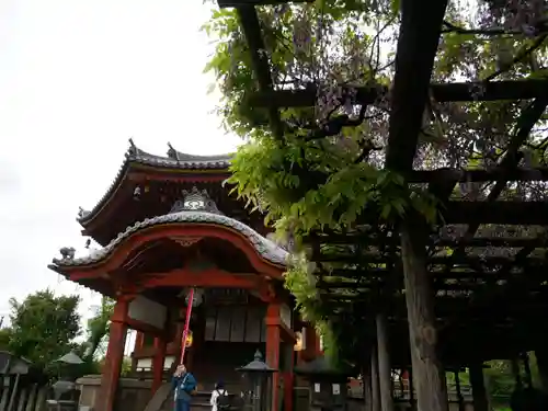 興福寺 南円堂の本殿・本堂