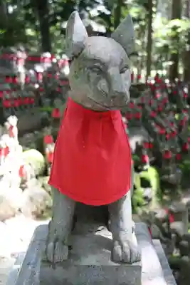 豊川閣　妙厳寺の狛犬